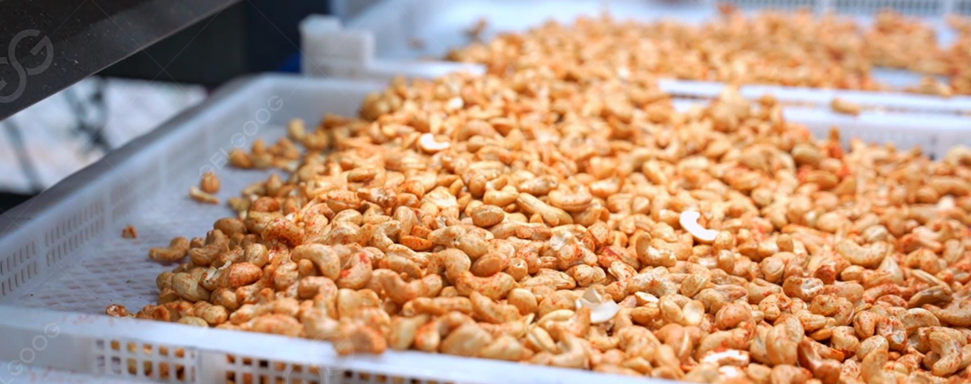 Línea de condimentos para tostar anacardos